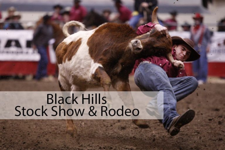 Black Hills Stock Show Rodeo