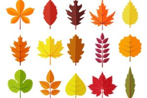 The Colors of Fall and Graphic Design